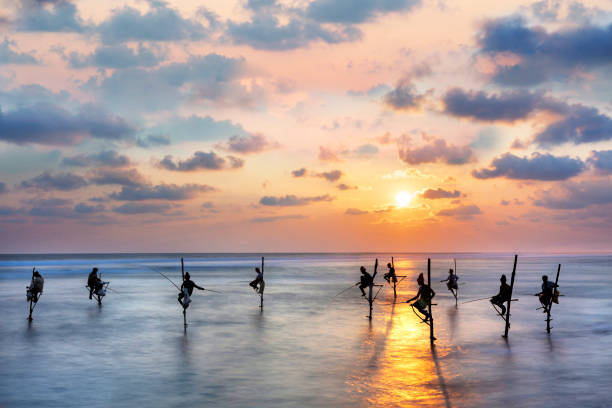 Stilt Fishermen at Sunset — Koggala, Sri Lanka