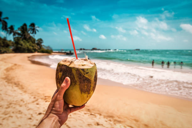 King Coconut by the Sea — Southern Coast, Sri Lanka