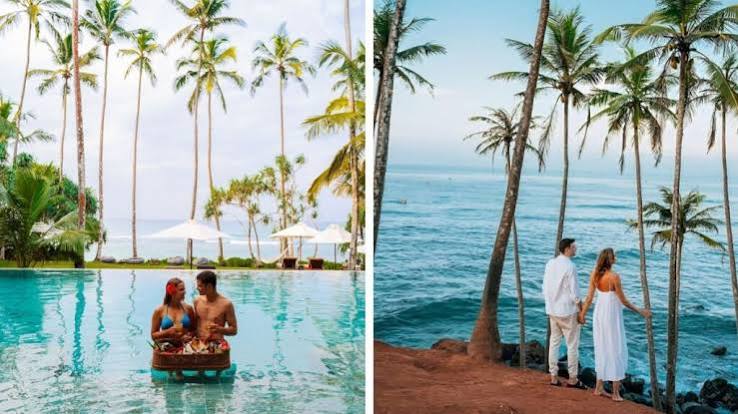 Palm-fringed secluded beach cove on Sri Lanka's south coast