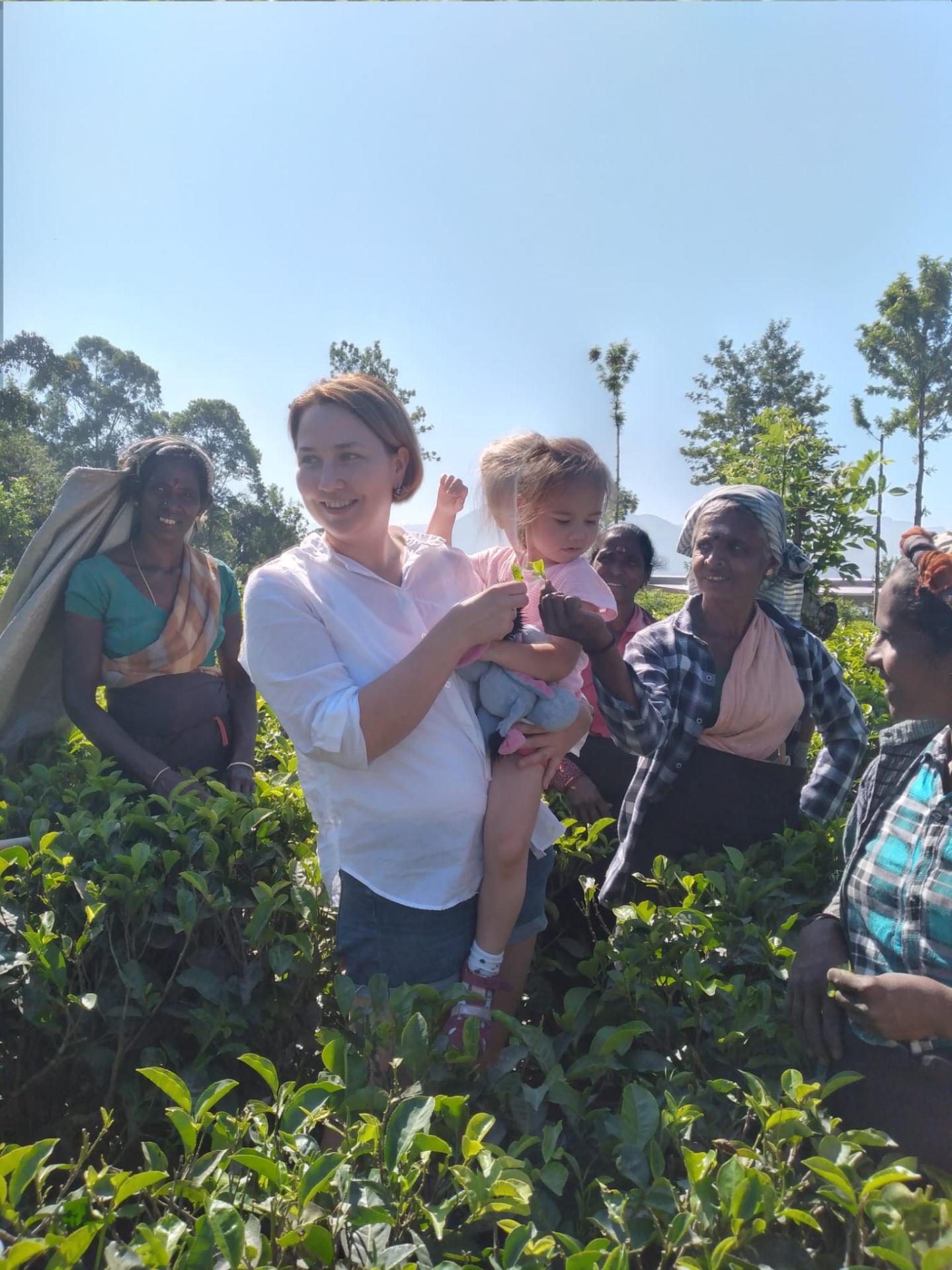 Tea plucking with the ladies in the hill country
