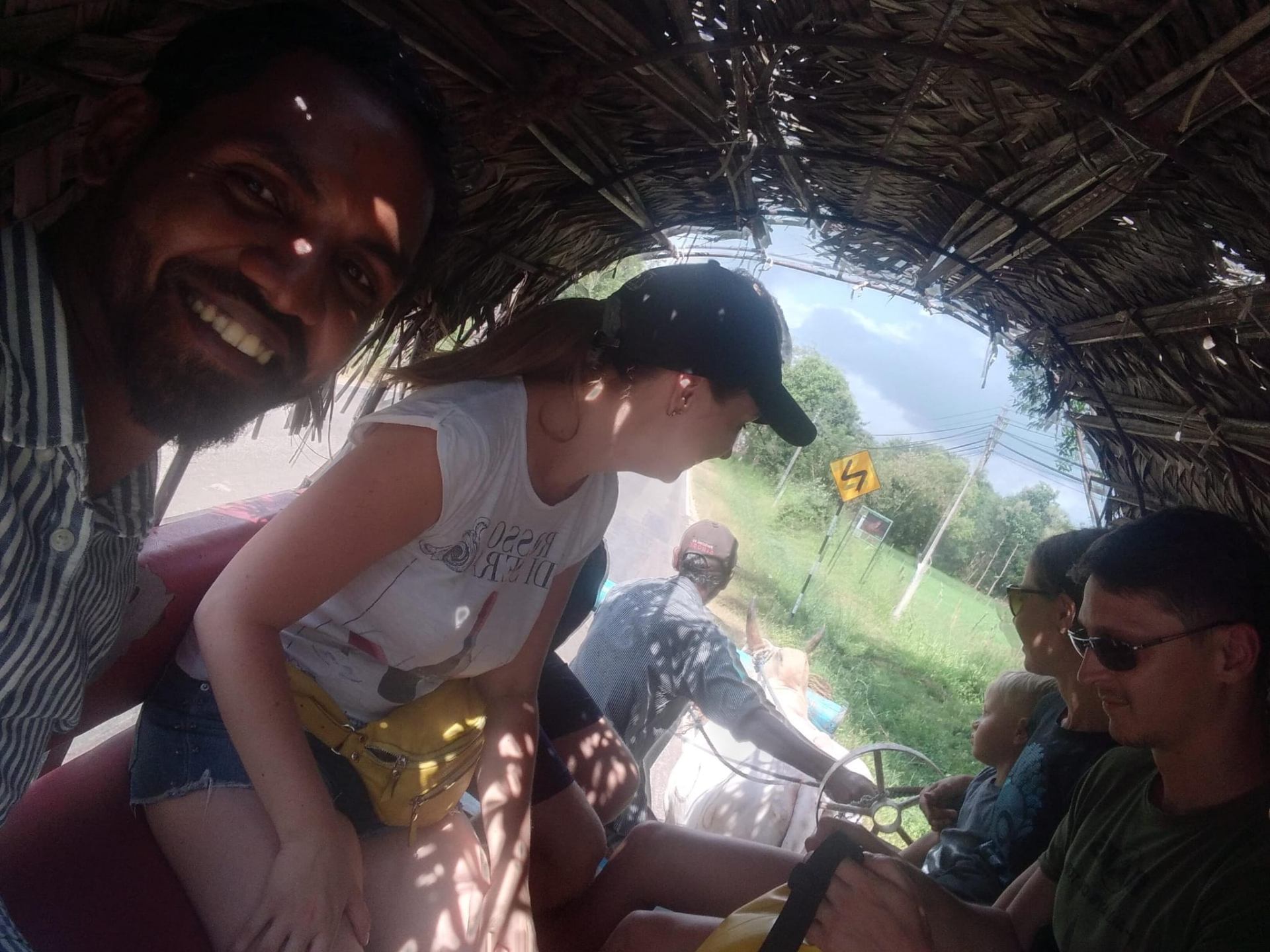 Traditional bullock cart village tour