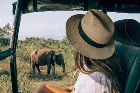 Safari Jeep Encounter — Yala National Park, Sri Lanka