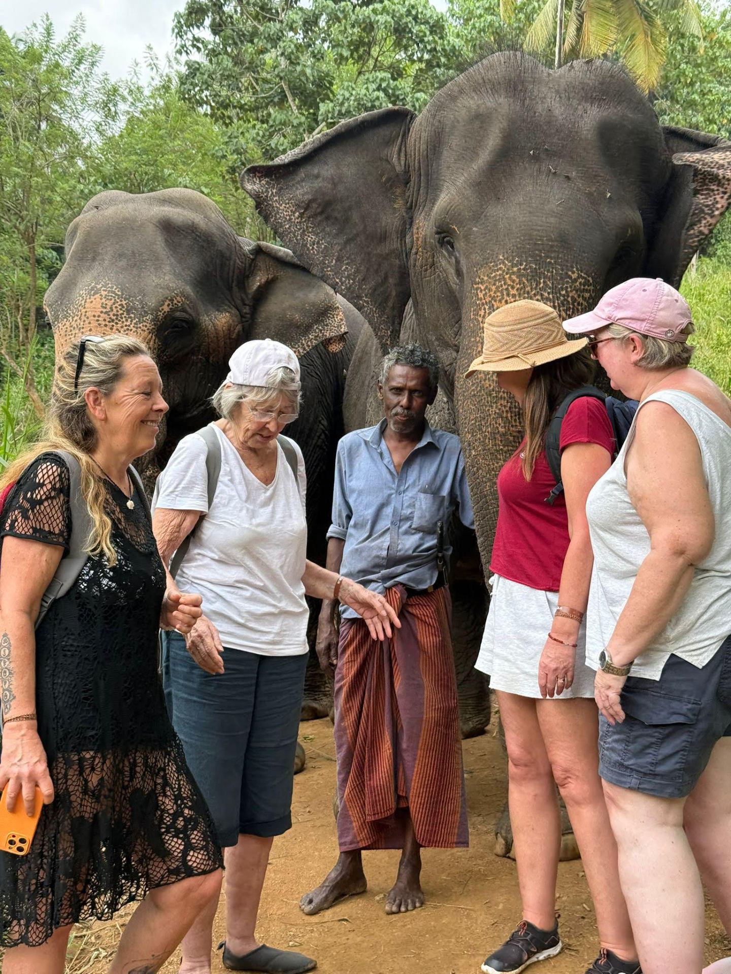 Up close with gentle giants — elephant encounter