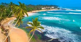 Tropical Coastline — Southern Coast, Sri Lanka
