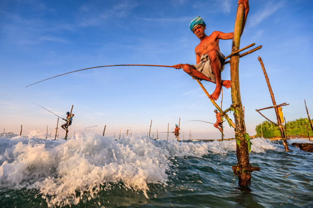 Stilt Fisherman in Action — Southern Coast, Sri Lanka