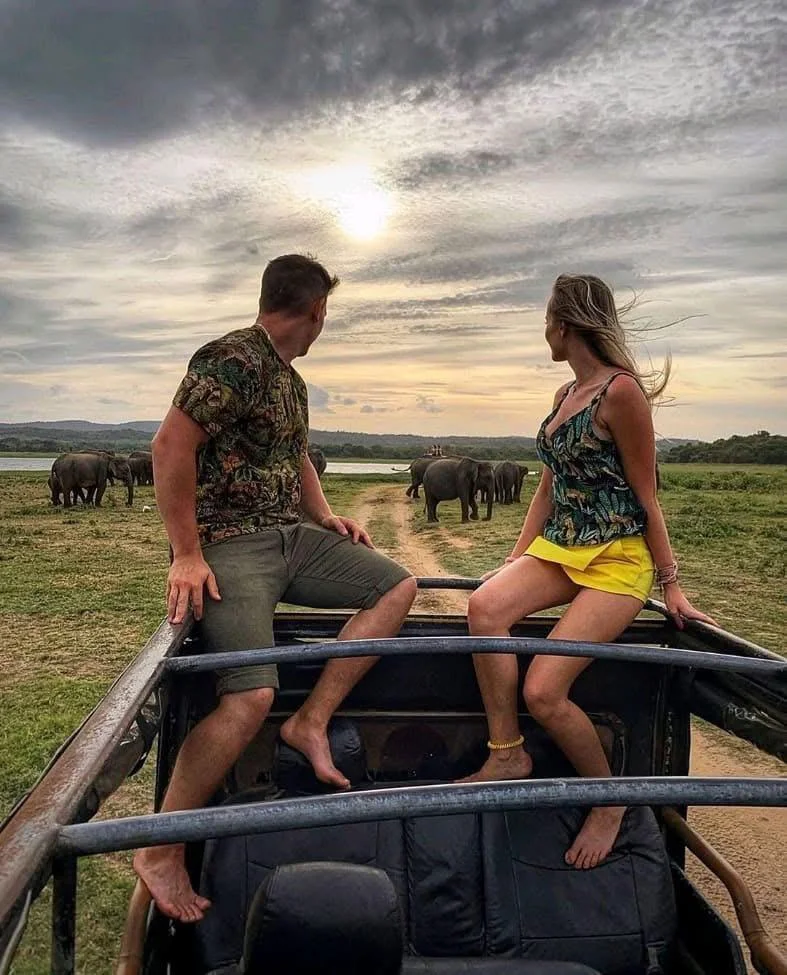 Couple sitting atop a safari jeep watching wild elephants at sunset in Sri Lanka