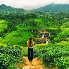 Tea Country Trails — Nuwara Eliya, Sri Lanka