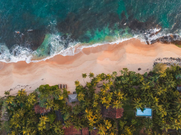 Pristine Beaches in Sri Lanka — Mirissa, Unawatuna, Arugam Bay
