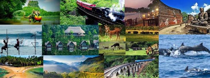 Collage of top places to visit in Sri Lanka — Sigiriya, hill country train, beaches and wildlife