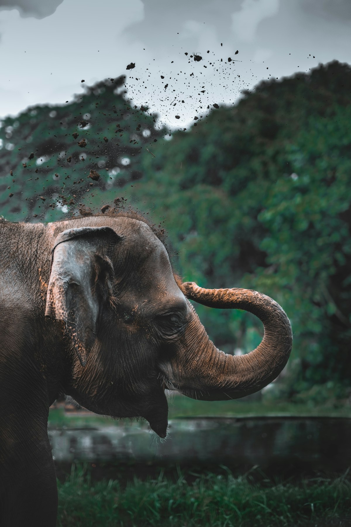 Yala Safari — 10-day Sri Lanka tour